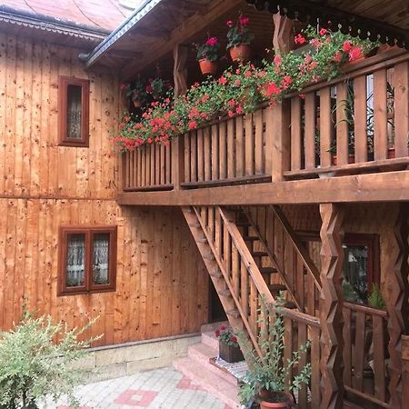 Pensiunea Agroturistica Casa Colinita Vatra Moldoviţei المظهر الخارجي الصورة