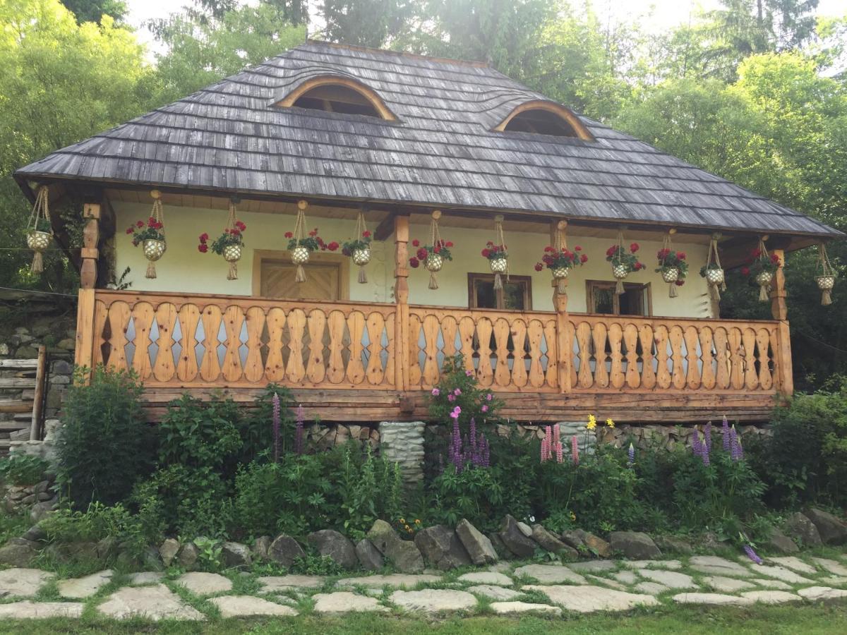 Pensiunea Agroturistica Casa Colinita Vatra Moldoviţei المظهر الخارجي الصورة