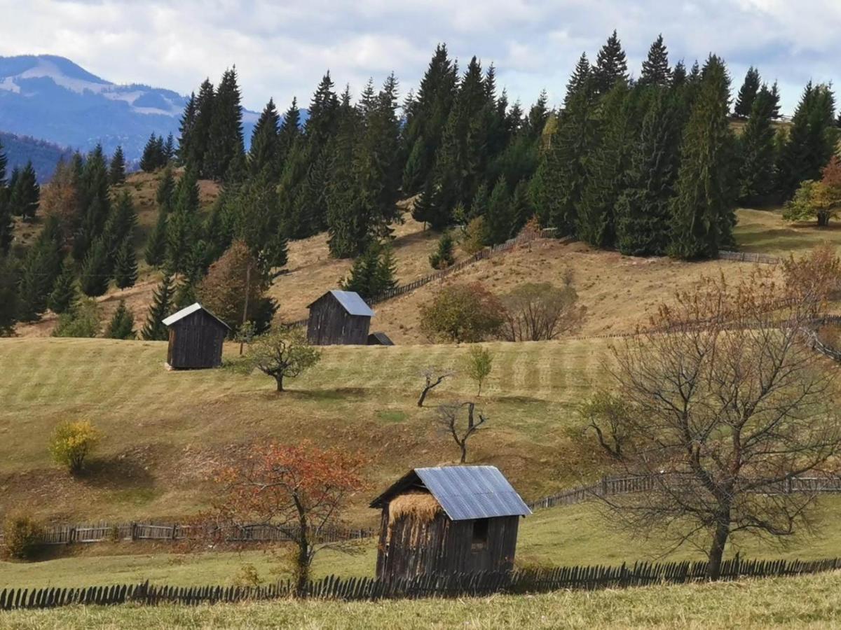 Pensiunea Agroturistica Casa Colinita Vatra Moldoviţei المظهر الخارجي الصورة