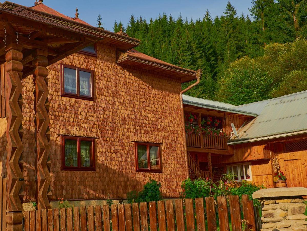 Pensiunea Agroturistica Casa Colinita Vatra Moldoviţei المظهر الخارجي الصورة