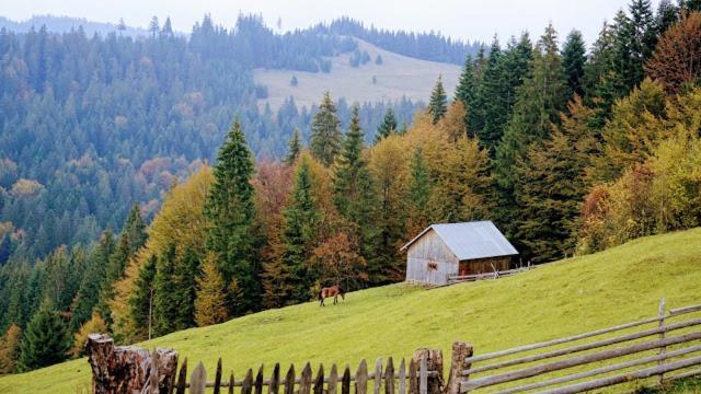 Pensiunea Agroturistica Casa Colinita Vatra Moldoviţei المظهر الخارجي الصورة