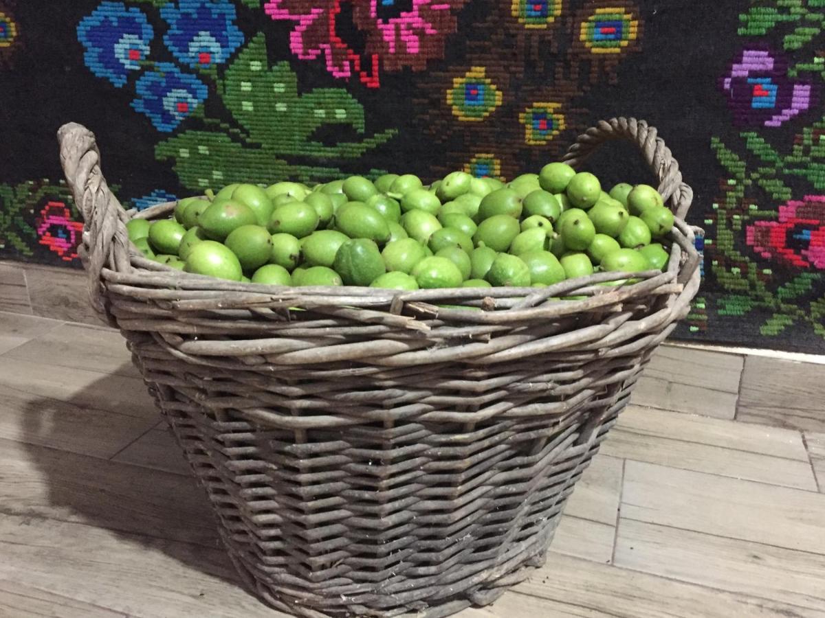 Pensiunea Agroturistica Casa Colinita Vatra Moldoviţei المظهر الخارجي الصورة
