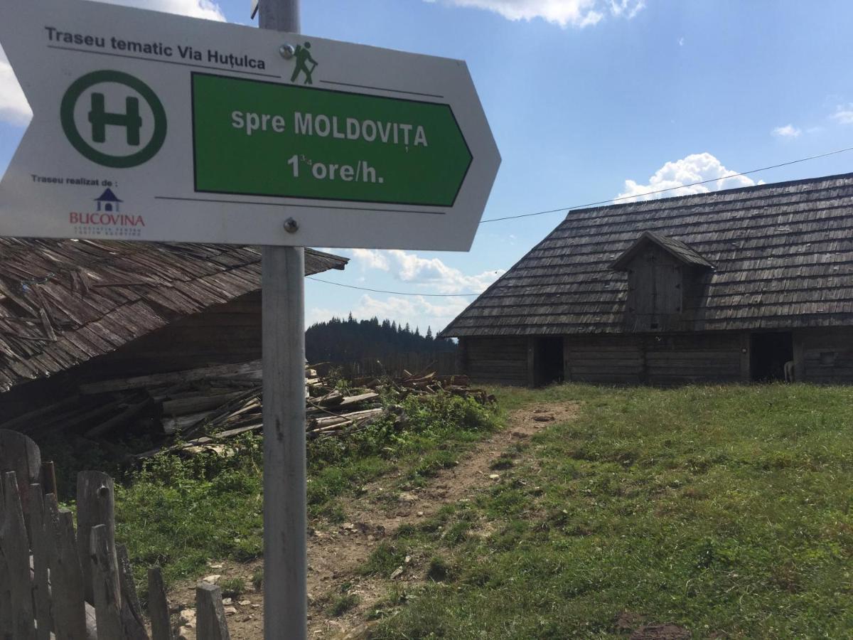 Pensiunea Agroturistica Casa Colinita Vatra Moldoviţei المظهر الخارجي الصورة