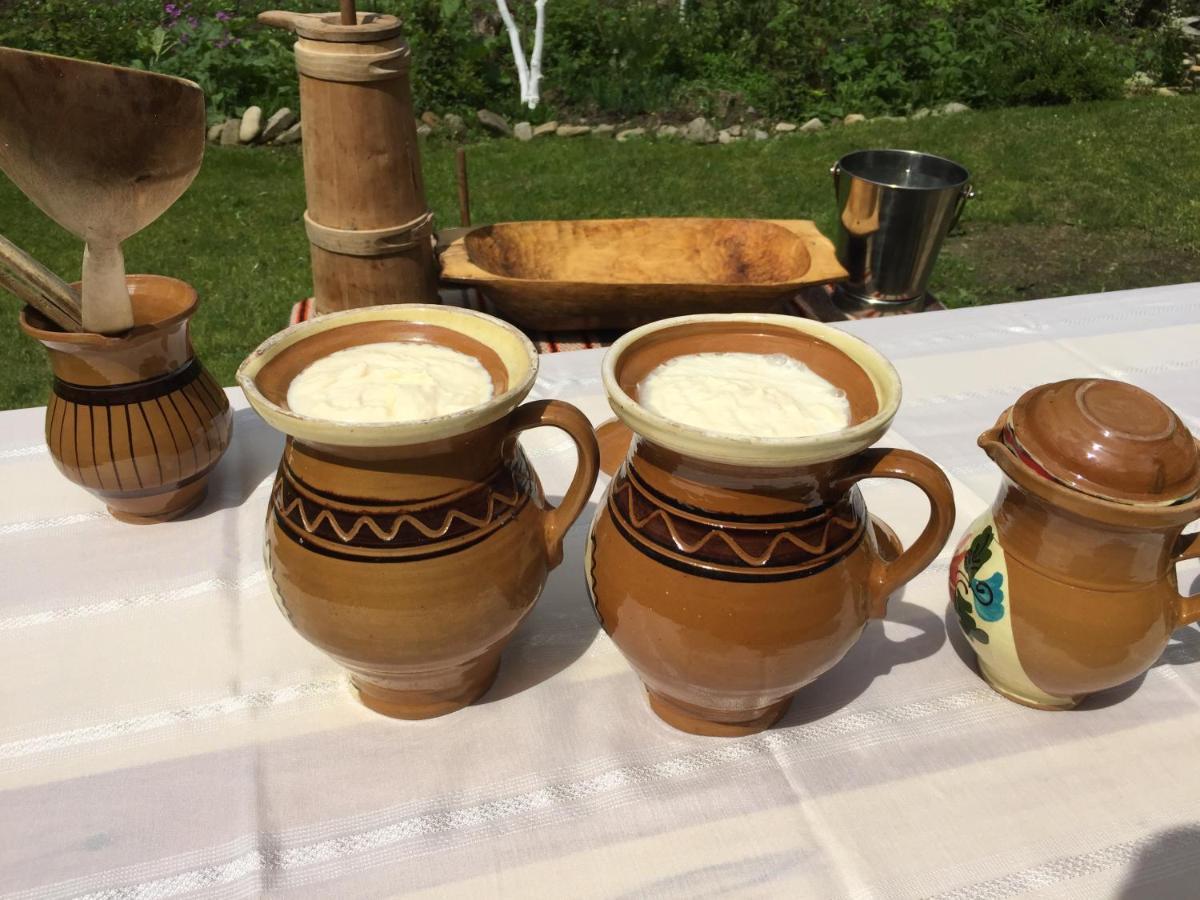 Pensiunea Agroturistica Casa Colinita Vatra Moldoviţei المظهر الخارجي الصورة