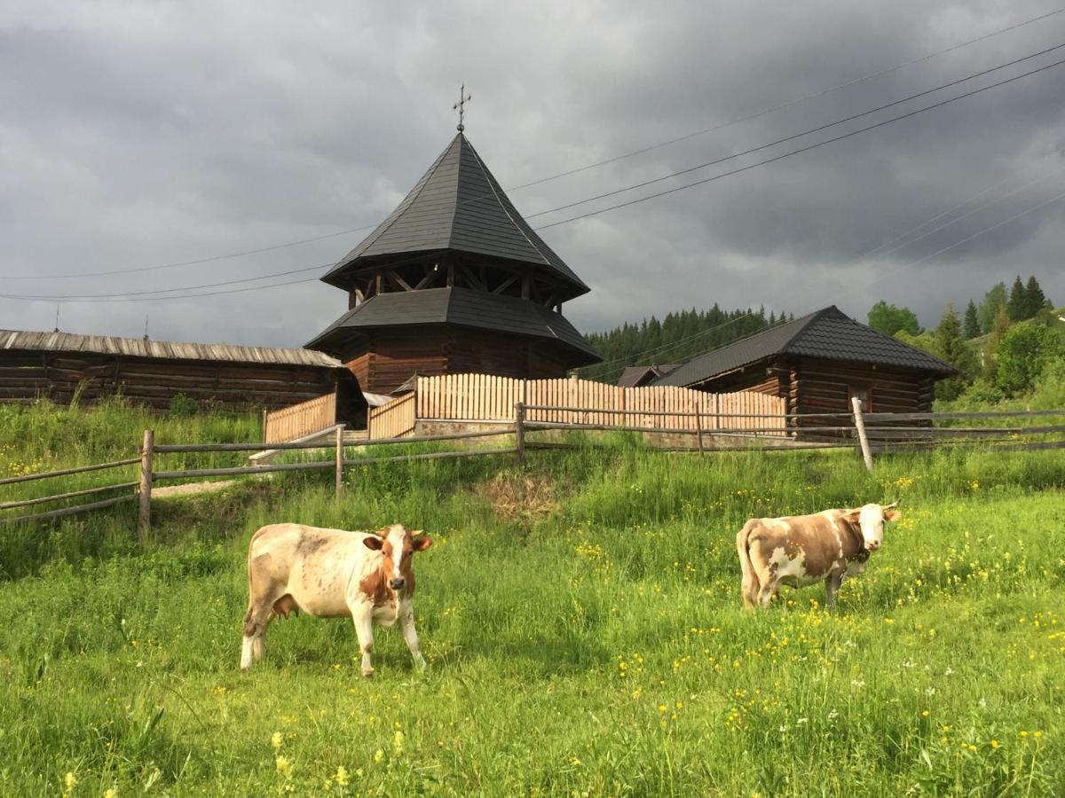 Pensiunea Agroturistica Casa Colinita Vatra Moldoviţei المظهر الخارجي الصورة
