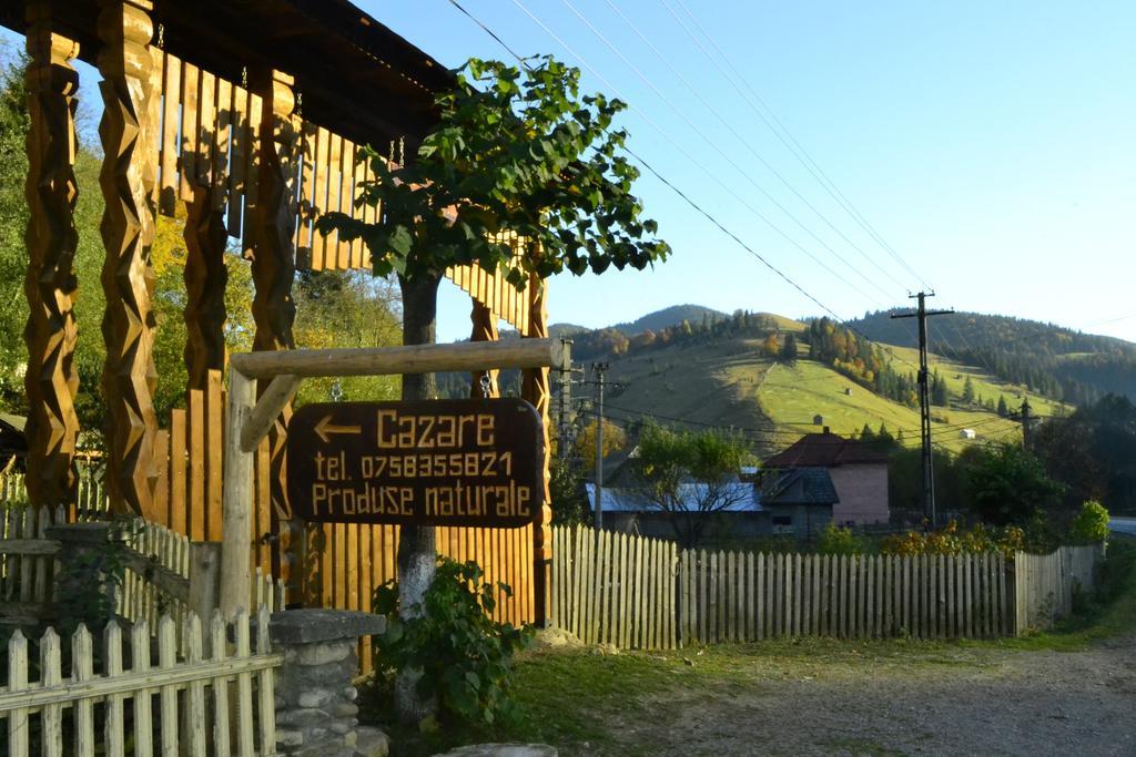 Pensiunea Agroturistica Casa Colinita Vatra Moldoviţei المظهر الخارجي الصورة