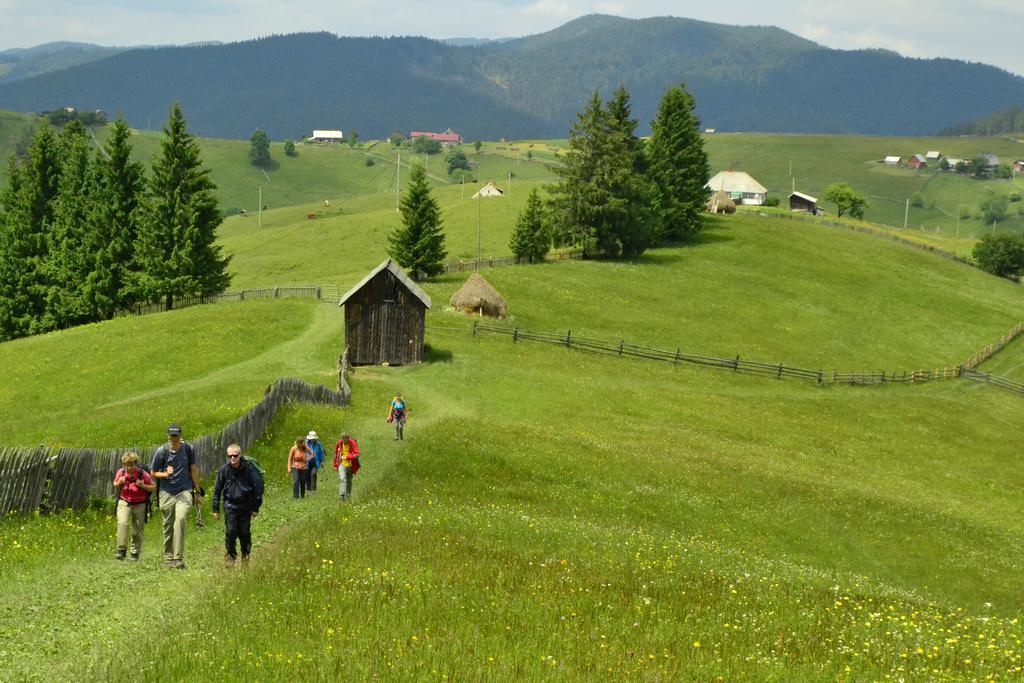 Pensiunea Agroturistica Casa Colinita Vatra Moldoviţei المظهر الخارجي الصورة